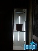 CAM00751.jpg