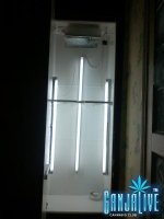 CAM00694.jpg