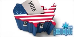 e-voting.jpg