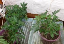 20140209_184808.jpg