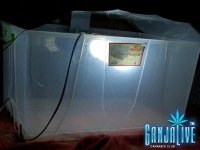 100_2035.JPG