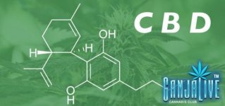 cannabinol-600x283.jpg