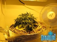 IMG_0734.JPG