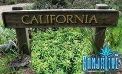 california.jpg