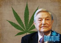 george-soros-marijuana-600x425.jpg