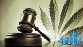 marijuana_legal_gavel_620x350.jpg