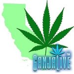 CaliforniaMarijuanaleaf.jpg CaliforniaMarijuanaleaf.jpg