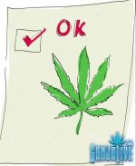 -cannabis-leaf-ok-check-11444136.jpg -cannabis-leaf-ok-check-11444136.jpg