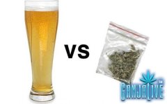 beer-n-oregano.jpg