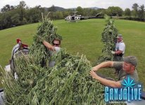 091109pot1.jpg