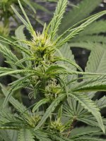 photo_2024-02-01_12-05-29 (2).jpg