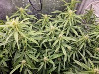 photo_2024-02-04_22-22-28 (2).jpg