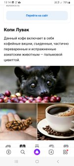 Screenshot_20240209_151412_Yandex.jpg