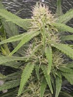 photo_2024-02-10_09-58-30 (3).jpg