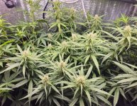 photo_2024-02-10_09-58-31 (3).jpg