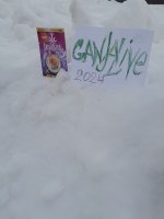 20240302_161109.jpg