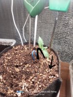 гнем еще ниже.jpg