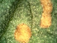 Photo_2024-03-20 19_30_11_917.JPG