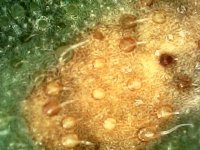 Photo_2024-03-20 19_32_33_645.JPG