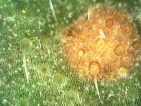 Photo_2024-03-20 19_33_48_760.JPG