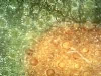 Photo_2024-03-20 19_34_28_876.JPG