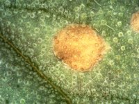 Photo_2024-03-20 19_34_38_243.JPG