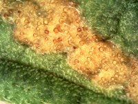 Photo_2024-03-20 19_35_25_773.JPG