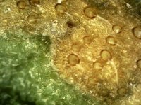 Photo_2024-03-20 19_35_53_077.JPG