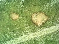 Photo_2024-03-20 20_26_28_902.JPG