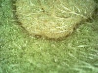 Photo_2024-03-20 20_28_14_587.JPG