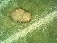 Photo_2024-03-20 20_28_45_454.JPG