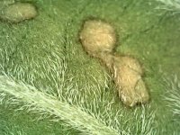 Photo_2024-03-20 20_29_57_195.JPG