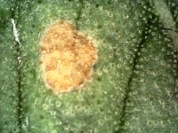 Photo_2024-03-21 14_32_46_686.JPG