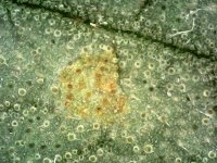 Photo_2024-03-21 14_33_11_821.JPG