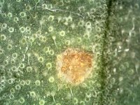 Photo_2024-03-21 14_34_01_374.JPG