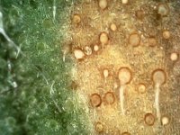 Photo_2024-03-21 14_36_12_780.JPG