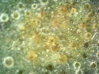 Photo_2024-03-21 14_36_52_696.JPG