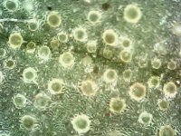 Photo_2024-03-21 14_37_23_394.JPG