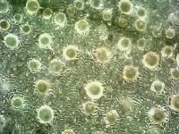 Photo_2024-03-21 14_37_35_288.JPG