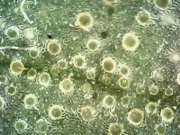 Photo_2024-03-21 14_37_44_039.JPG