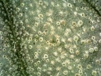 Photo_2024-03-21 14_38_00_489.JPG