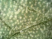 Photo_2024-03-21 14_38_35_125.JPG