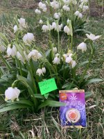 IMG_2712.jpeg