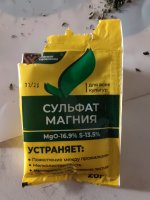 IMG_20240420_220834.jpg