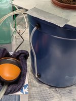 IMG_20240508_174831.jpg