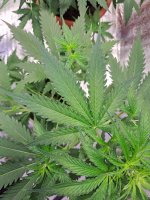 20240708_235010.jpg
