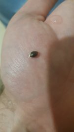 20240814_132807 (1).jpg