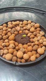 20240817_095038 (1).jpg