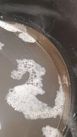 20240817_174319 (1).jpg