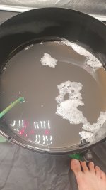 20240817_174325 (1).jpg